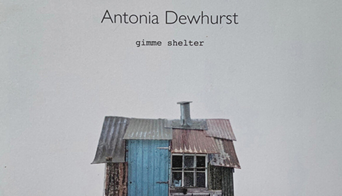 Gimme Shelter by Antonia Dewhurst catalogue